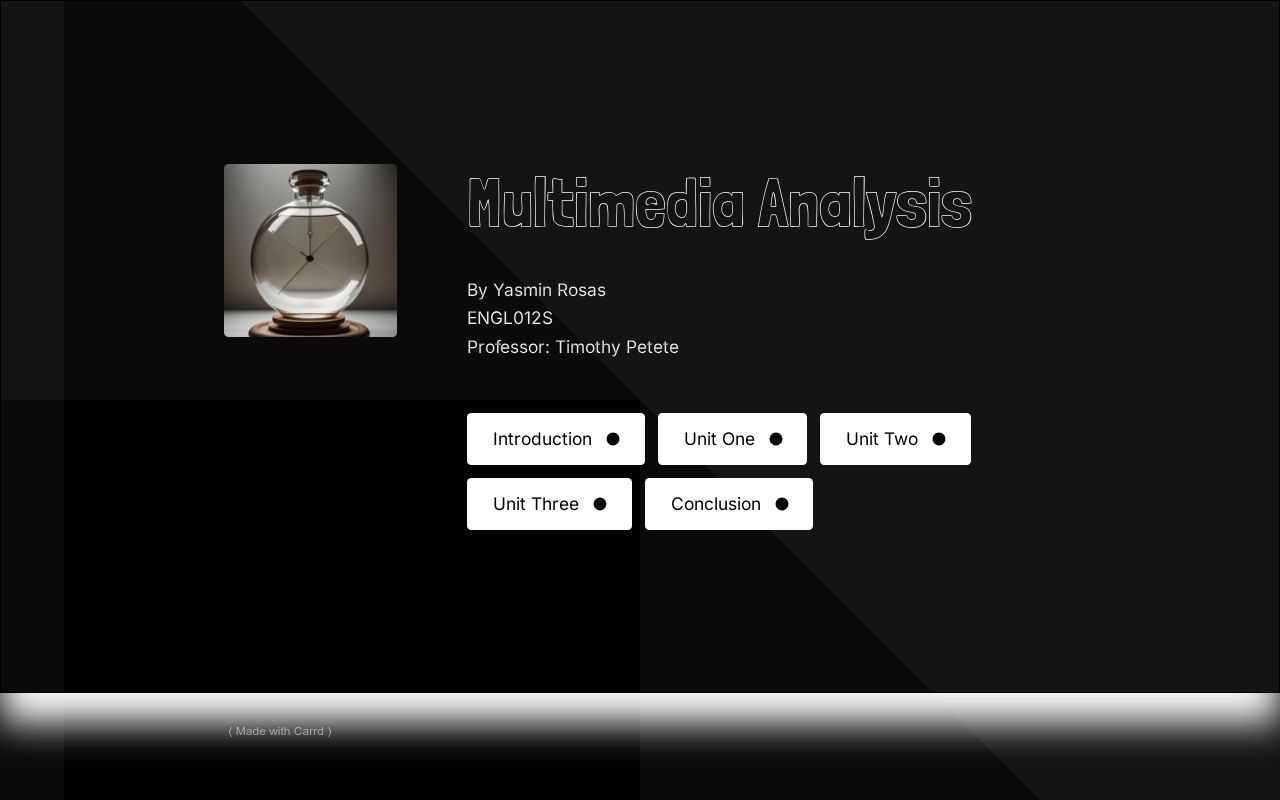 Multimedia Analysis